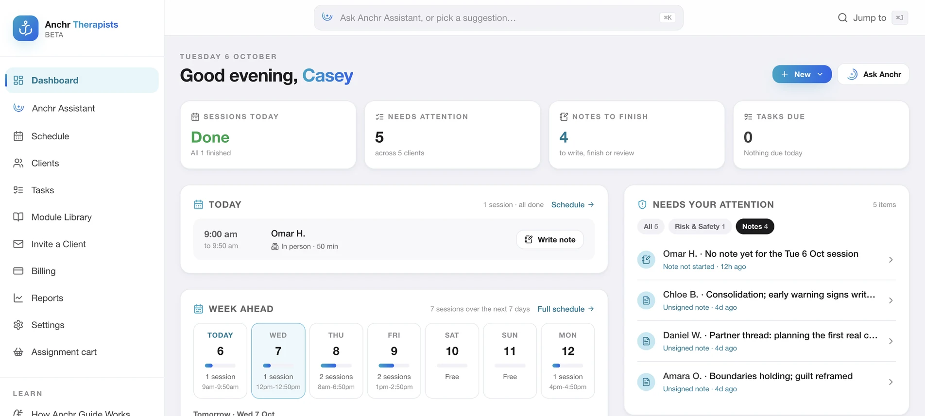 Therapist portal dashboard with today's sessions, notes to finish, the week ahead and items needing attention